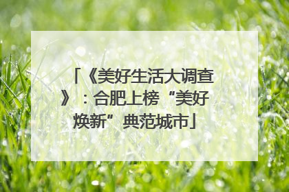 《美好生活大调查》：合肥上榜“美好焕新”典范城市