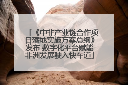 《中非产业链合作项目落地实施方案总纲》发布 数字化平台赋能非洲发展驶入快车道