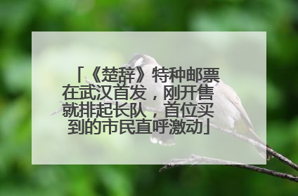 《楚辞》特种邮票在武汉首发，刚开售就排起长队，首位买到的市民直呼激动