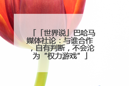 「世界说」巴哈马媒体社论：与谁合作，自有判断，不会沦为“权力游戏”