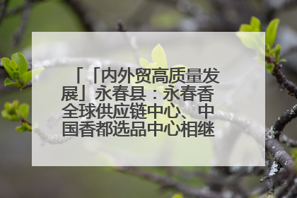 「内外贸高质量发展」永春县：永春香全球供应链中心、中国香都选品中心相继运营——一根香“点燃”百亿产业