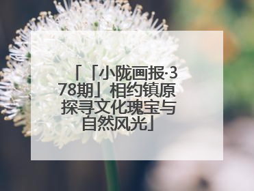 「小陇画报·378期」相约镇原 探寻文化瑰宝与自然风光