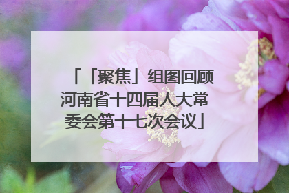 「聚焦」组图回顾河南省十四届人大常委会第十七次会议