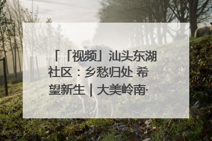「视频」汕头东湖社区：乡愁归处 希望新生｜大美岭南·百村焕新记