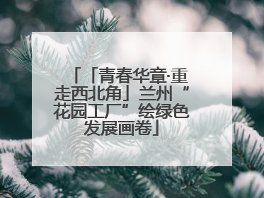 「青春华章·重走西北角」兰州“花园工厂”绘绿色发展画卷