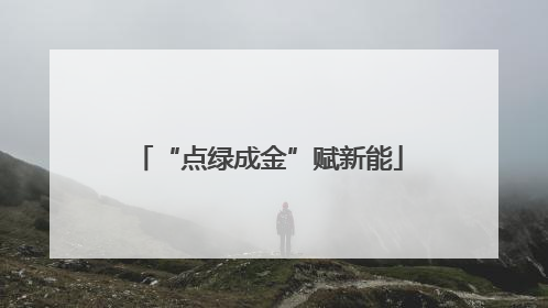“点绿成金”赋新能