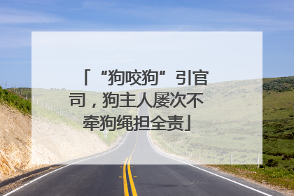 “狗咬狗”引官司，狗主人屡次不牵狗绳担全责