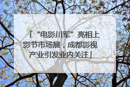 “电影川军”亮相上影节市场展，成都影视产业引发业内关注