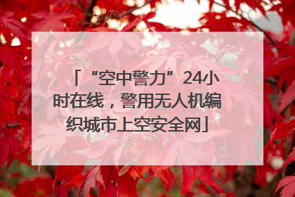 “空中警力”24小时在线，警用无人机编织城市上空安全网
