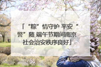 “粽”情守护 平安“警”随 端午节期间南京社会治安秩序良好