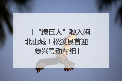 “绿巨人”驶入闽北山城！松溪县首迎复兴号动车组