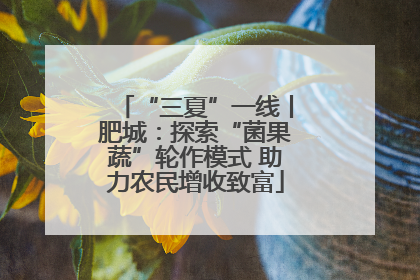 “三夏”一线丨肥城：探索“菌果蔬”轮作模式 助力农民增收致富