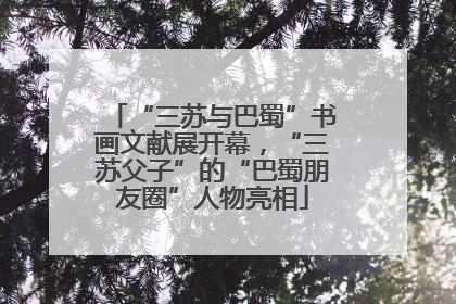 “三苏与巴蜀”书画文献展开幕，“三苏父子”的“巴蜀朋友圈”人物亮相