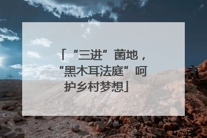 “三进”菌地，“黑木耳法庭”呵护乡村梦想