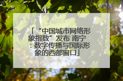 “中国城市网络形象指数”发布 南宁：数字传播与国际形象的西部窗口