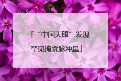 “中国天眼”发现罕见掩食脉冲星
