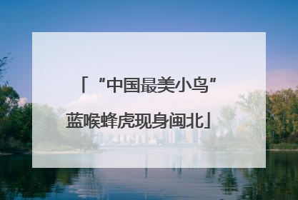 “中国最美小鸟”蓝喉蜂虎现身闽北