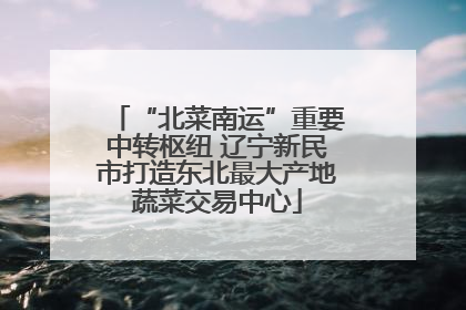 “北菜南运”重要中转枢纽 辽宁新民市打造东北最大产地蔬菜交易中心
