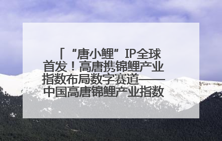 “唐小鲤”IP全球首发！高唐携锦鲤产业指数布局数字赛道——中国高唐锦鲤产业指数暨“唐小鲤”IP全球首发仪式在杭州举行