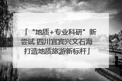 “地质+专业科研”新尝试 四川宜宾兴文石海打造地质旅游新标杆