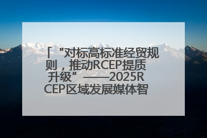 “对标高标准经贸规则，推动RCEP提质升级”——2025RCEP区域发展媒体智库论坛举行专题对话