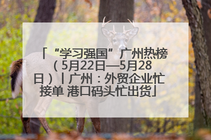 “学习强国”广州热榜（5月22日—5月28日）丨广州：外贸企业忙接单 港口码头忙出货