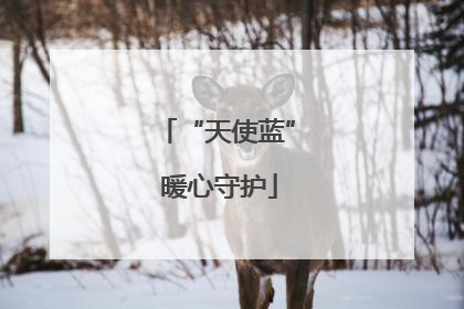 “天使蓝” 暖心守护