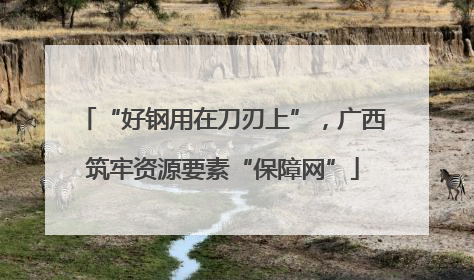 “好钢用在刀刃上”，广西筑牢资源要素“保障网”