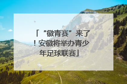 “徽青赛”来了！安徽将举办青少年足球联赛