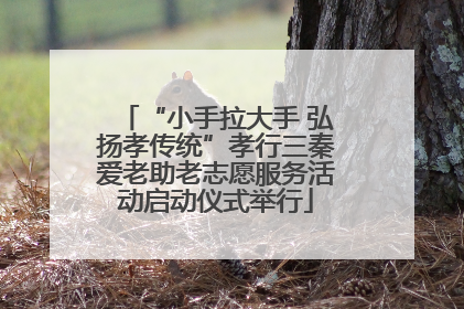 “小手拉大手 弘扬孝传统”孝行三秦爱老助老志愿服务活动启动仪式举行