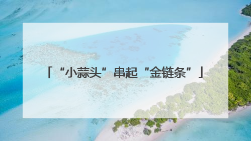 “小蒜头”串起“金链条”