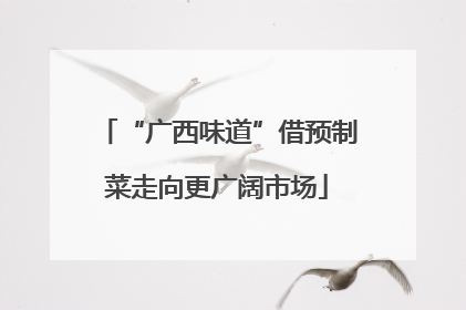 “广西味道”借预制菜走向更广阔市场