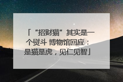 “招财猫”其实是一个熨斗 博物馆回应：是猫是虎，见仁见智