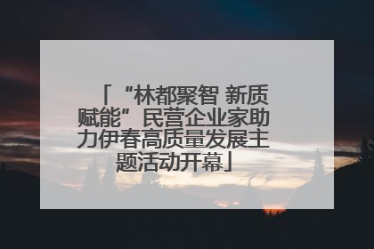 “林都聚智 新质赋能”民营企业家助力伊春高质量发展主题活动开幕