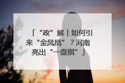 “政”解丨如何引来“金凤凰”？河南亮出“一盘棋”