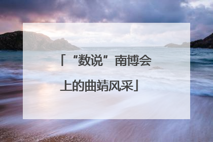 “数说”南博会上的曲靖风采