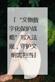 “文物数字化保护战略”写入法规，守护文明需担当