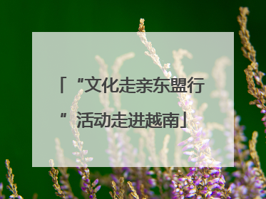 “文化走亲东盟行”活动走进越南