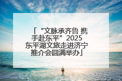 “文脉承齐鲁 携手赴东平”2025东平湖文旅走进济宁推介会圆满举办