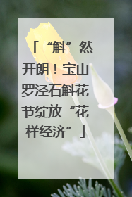 “斛”然开朗！宝山罗泾石斛花节绽放“花样经济”