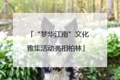 “梦华江南”文化雅集活动亮相柏林
