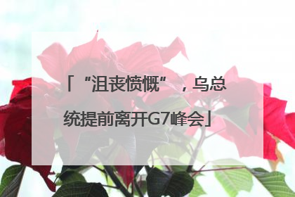 “沮丧愤慨”，乌总统提前离开G7峰会