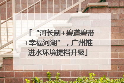 “河长制+碧道碧带+幸福河湖”，广州推进水环境提档升级
