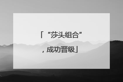 “莎头组合”，成功晋级