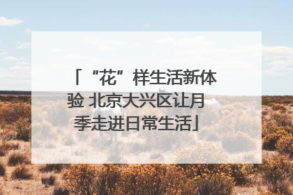 “花”样生活新体验 北京大兴区让月季走进日常生活