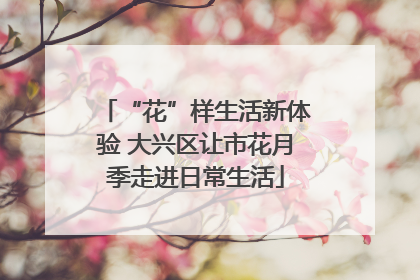 “花”样生活新体验 大兴区让市花月季走进日常生活