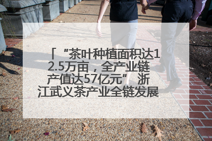 “茶叶种植面积达12.5万亩，全产业链产值达57亿元” 浙江武义茶产业全链发展“加速度”