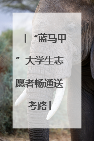 “蓝马甲”大学生志愿者畅通送考路