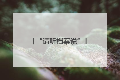 “请听档案说”
