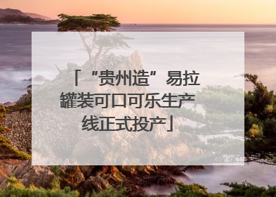 “贵州造”易拉罐装可口可乐生产线正式投产